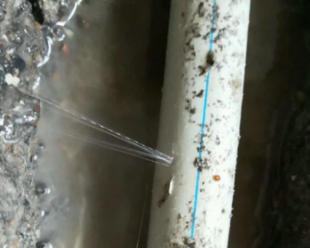 通化市卫生间测漏水多少钱