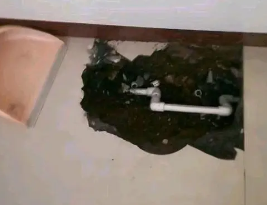 通化市卫生间测漏水多少钱